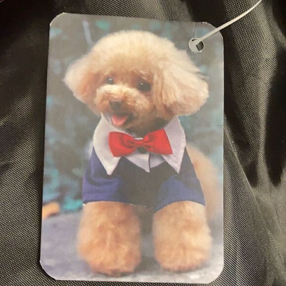 Dog Suit & Tie  - Picture 1 of 4